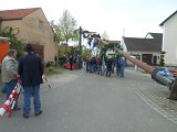 Maibaum_2016 (82).JPG